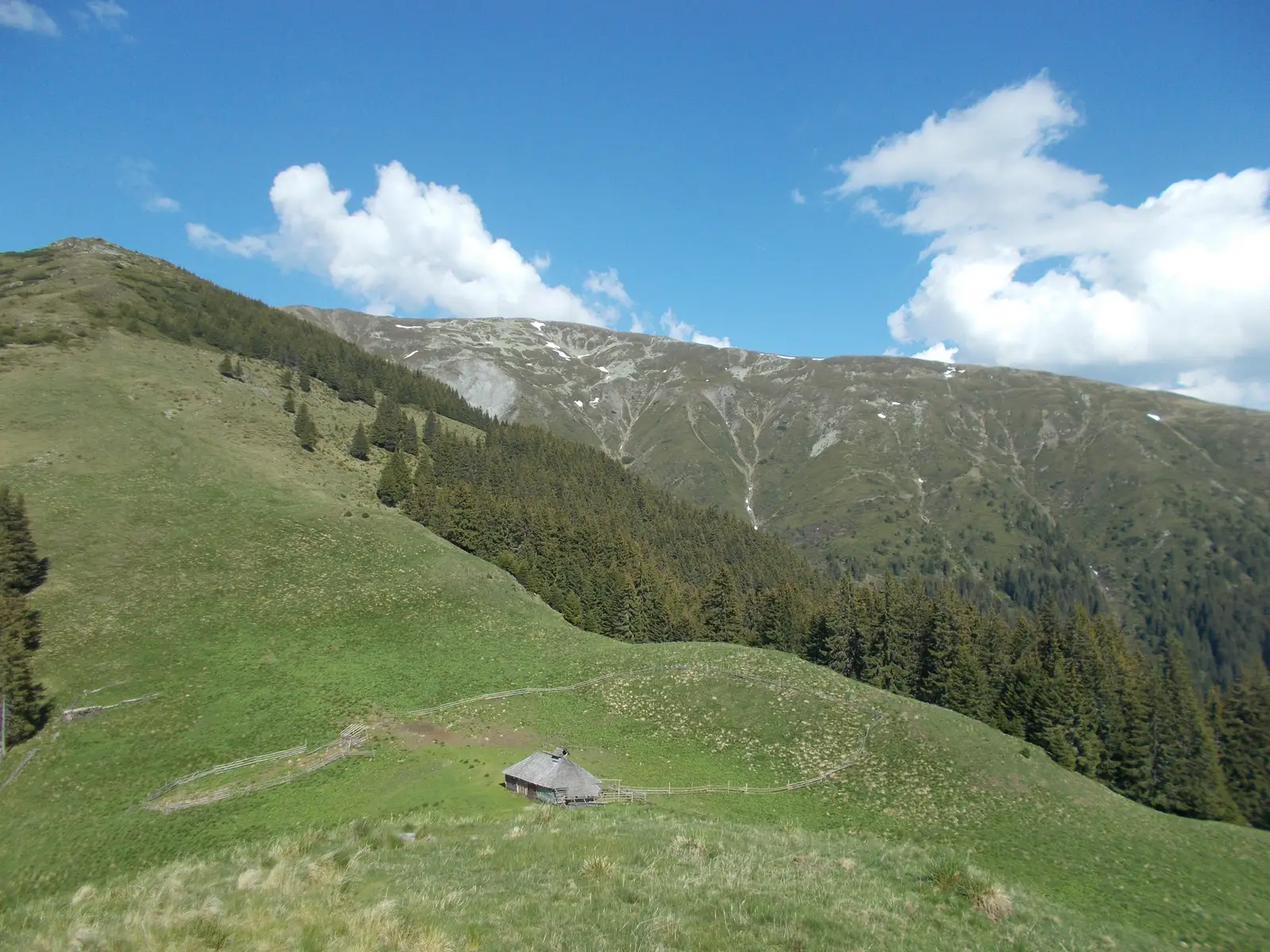 Bădeni - Muntele Vâja - Vârful Leaota