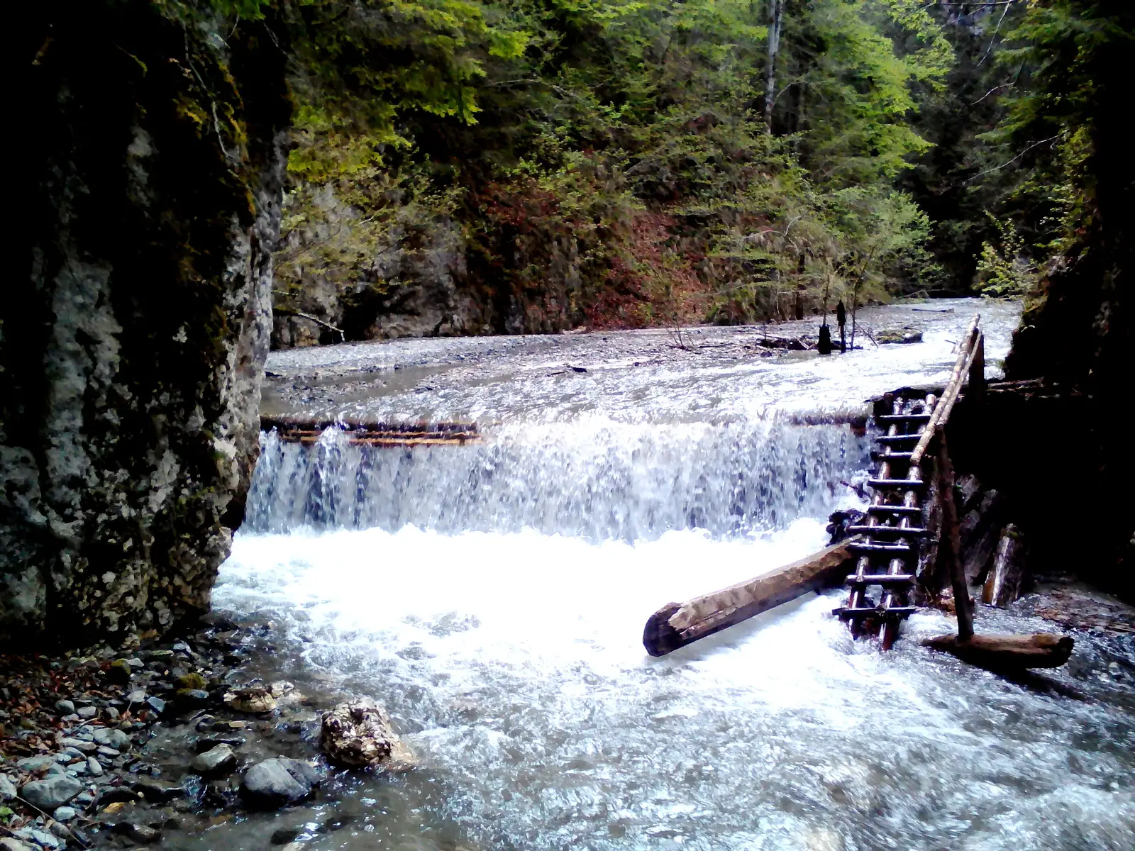 Podu Dâmboviţei - Curmătura Ghimbavului - Canton Forestier Andolia