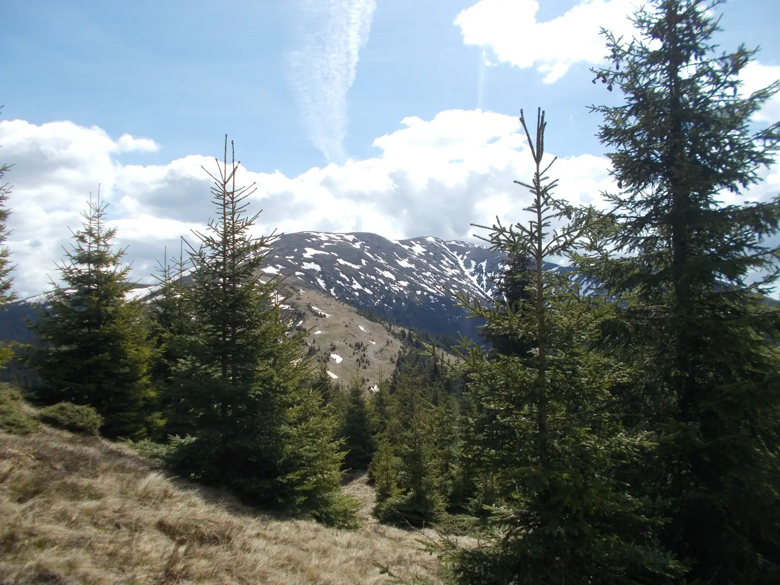 Canton Forestier Andolia - Muntele Secările