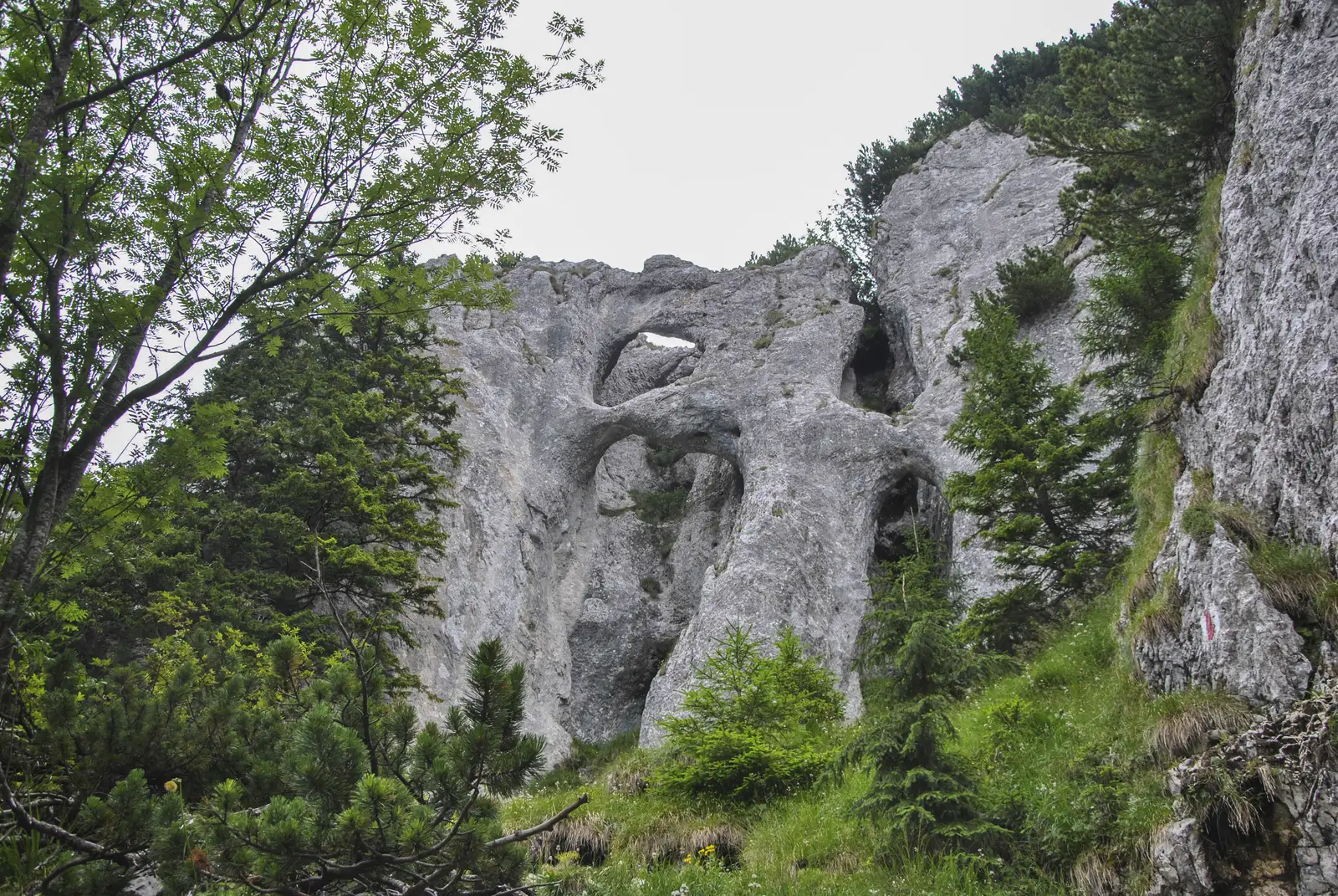Plaiul Foii - La Lanţuri - Şaua Grindului