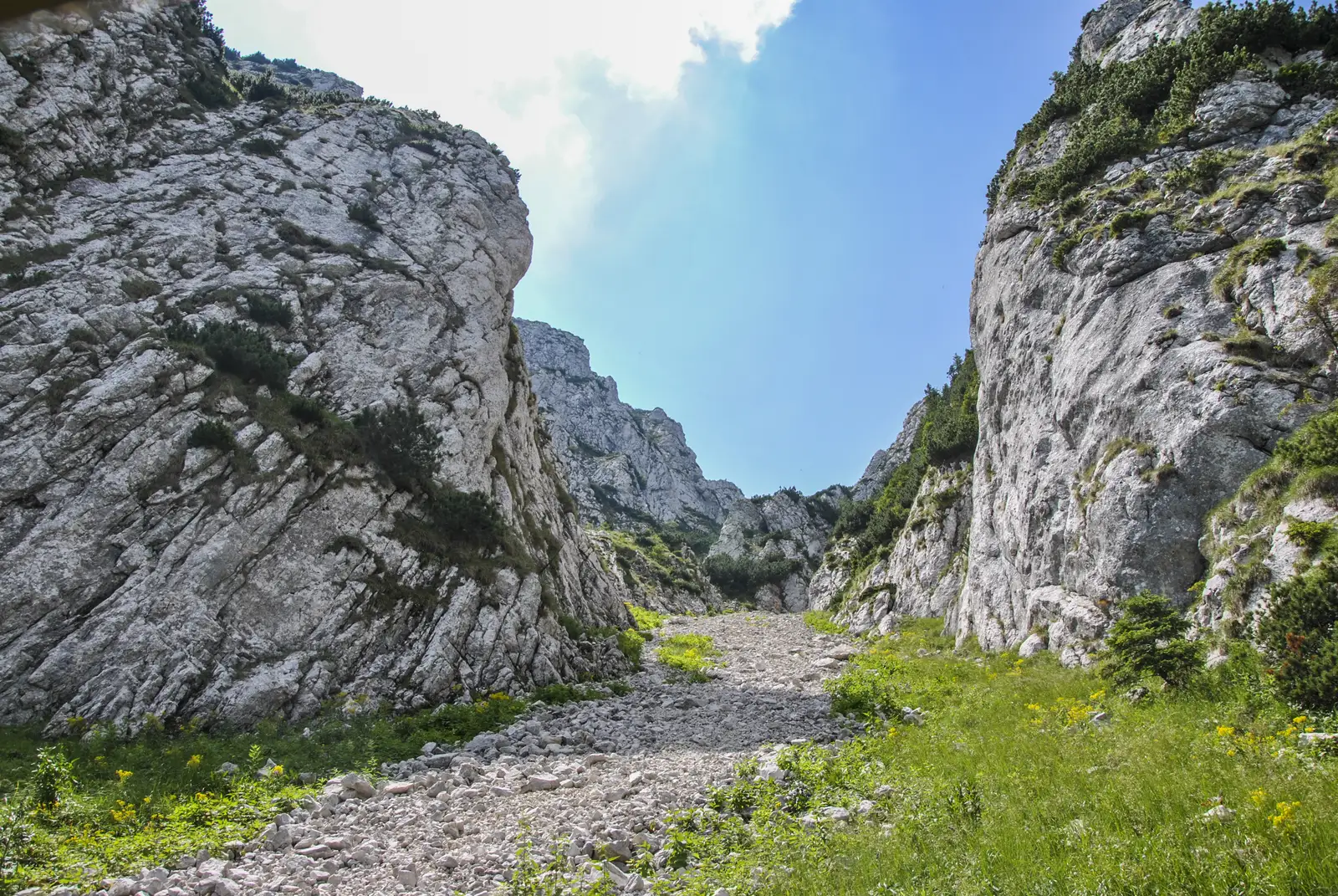 traseul BA-Padina Hotarului - Vf. Turnu