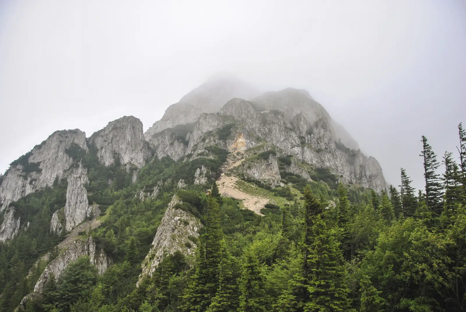 Cabana Curmătura-Vf. Piatra Mică-traseul BG