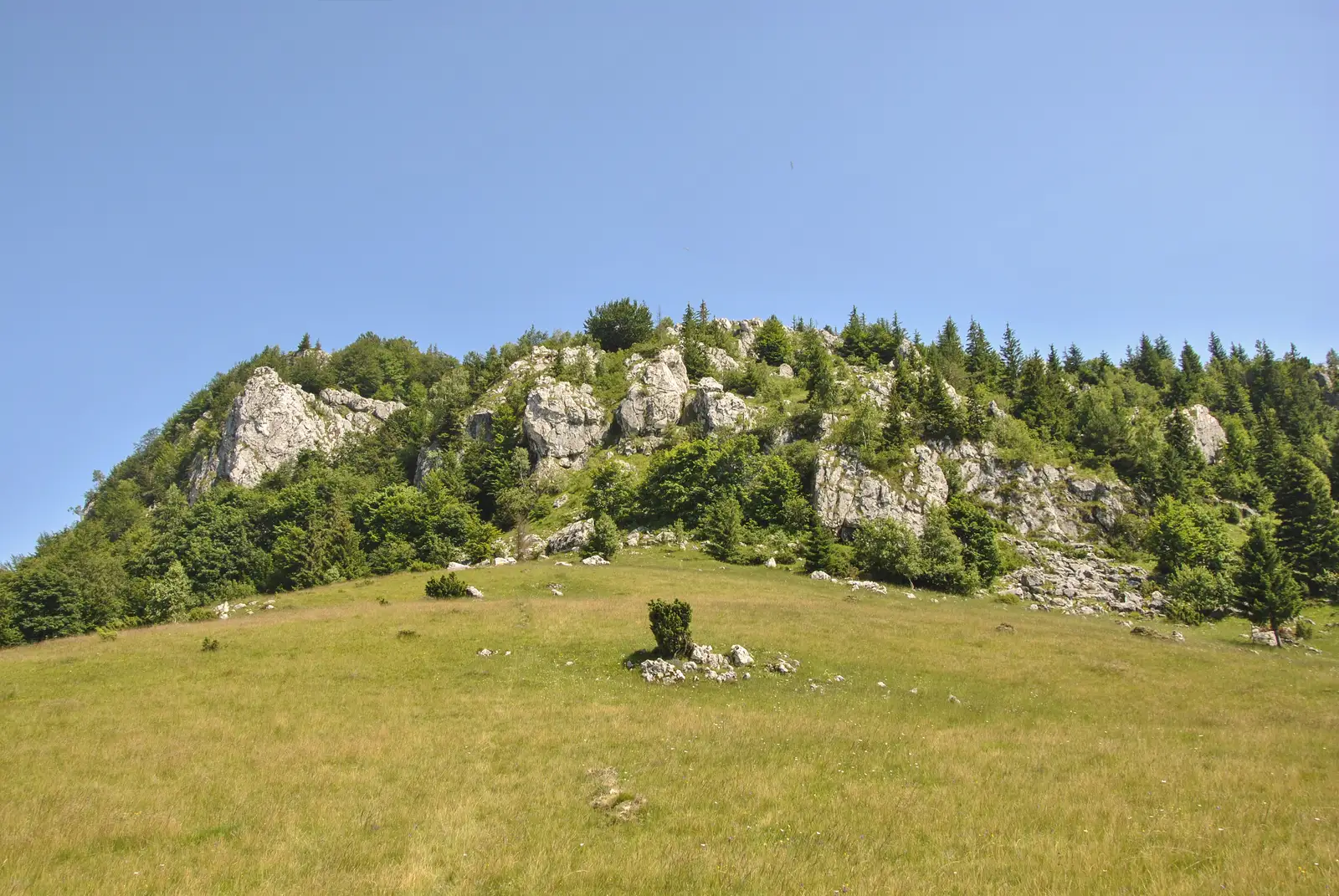 Cabana Gura Râului-sub Măgura Mare-Bran