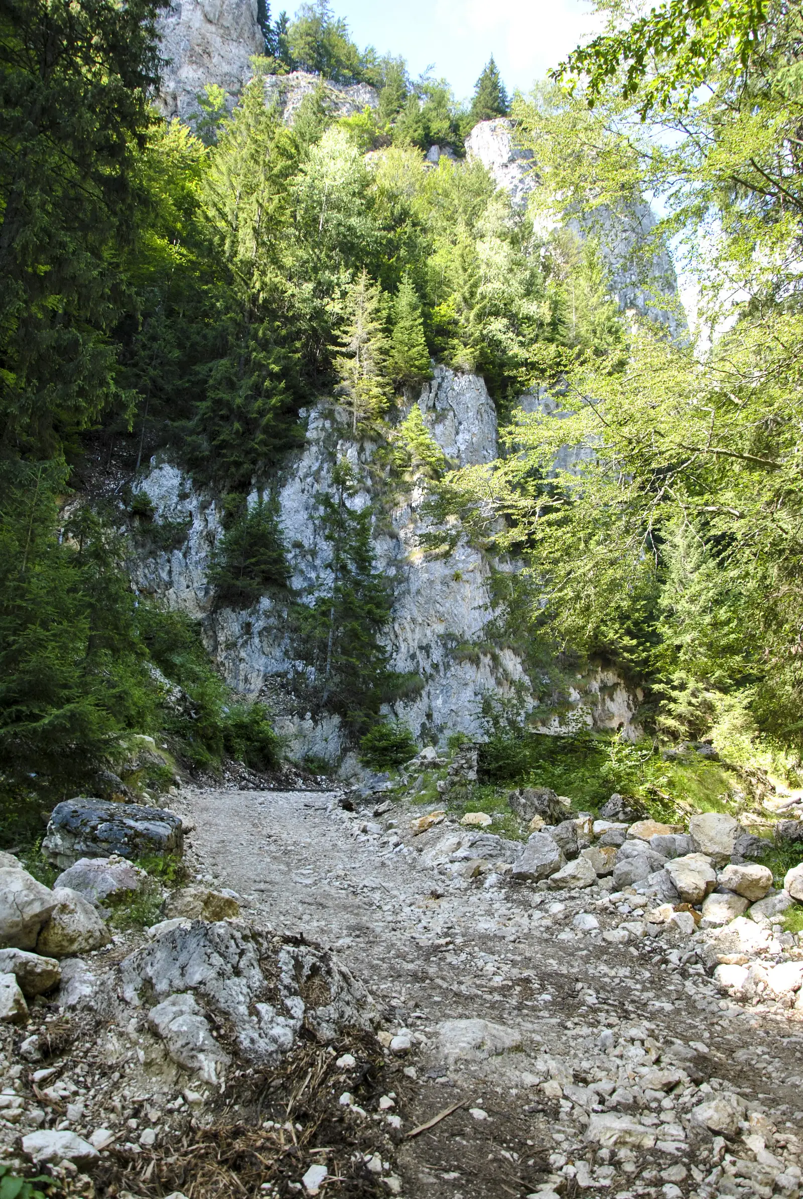 Cabana Brusturet-Cheile Brusturetului-Poiana Grind