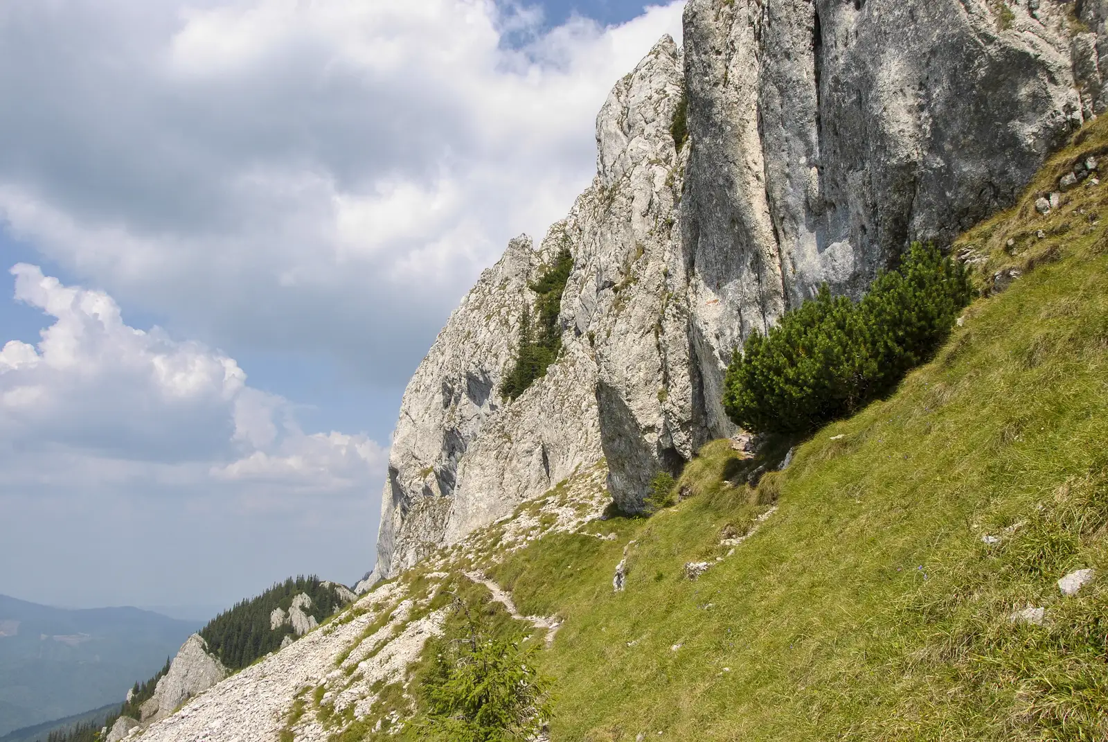 Curmătura Foii-sub Zaplaz