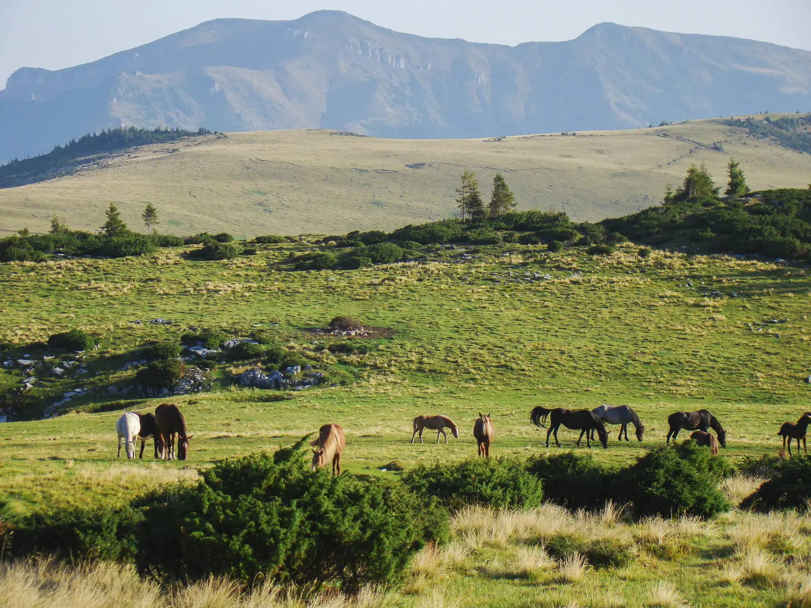 Complexul Turistic Borşa - Poiana Ştiol - Şaua Gărgălău