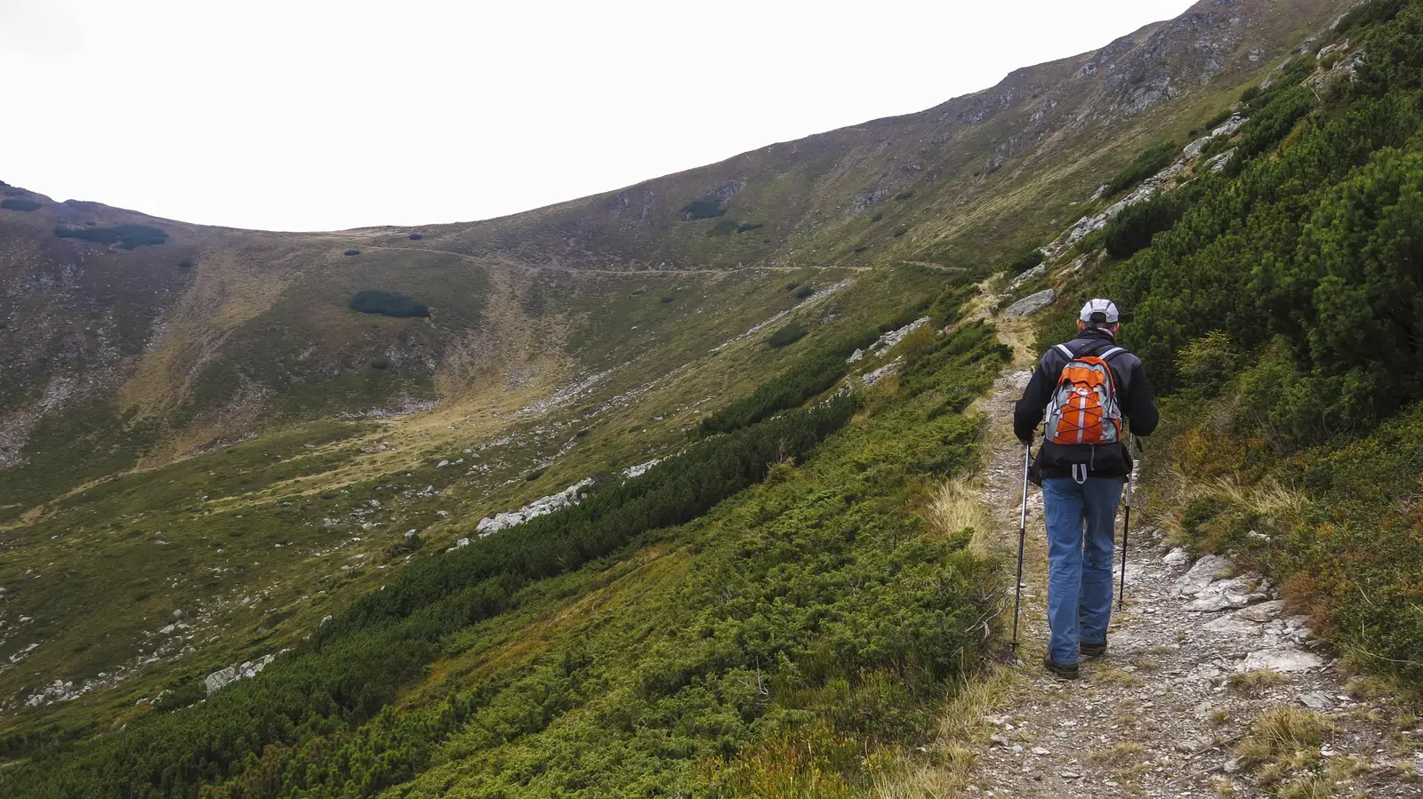 Borşa - Căldarea Negoiescu - Şaua Galaţului