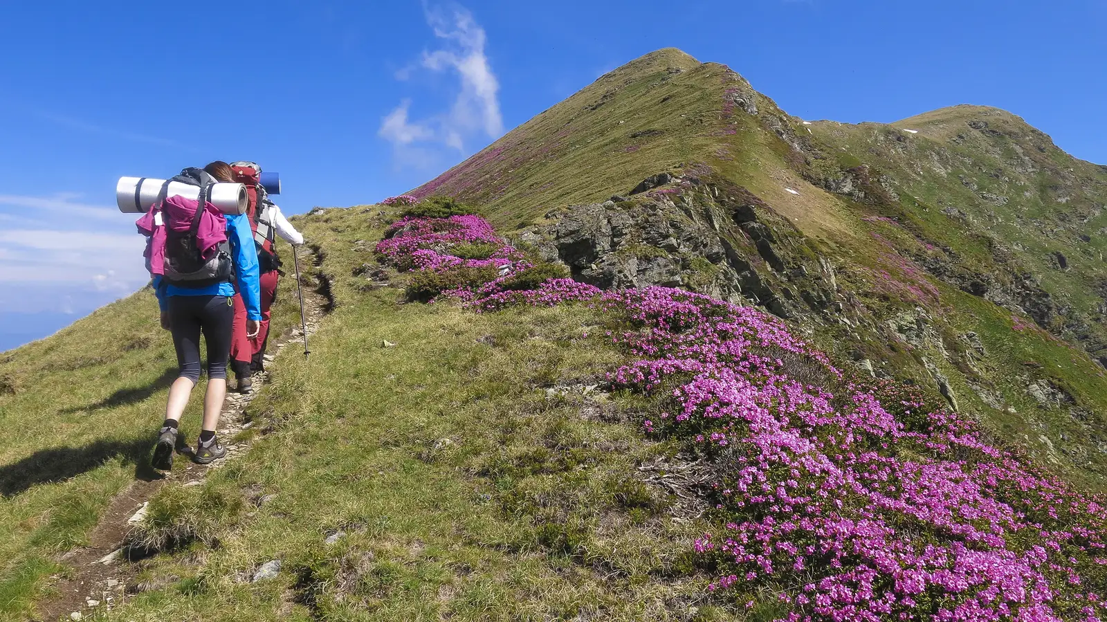 Borşa - Vârful Pietrosul Rodnei - Tarniţa La Cruce