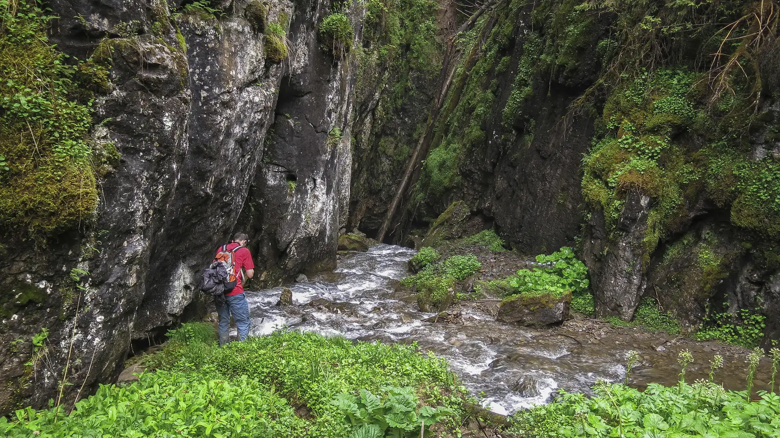 Dealul Moisei - Tăul Muced - Izvorul Albastru al Izei