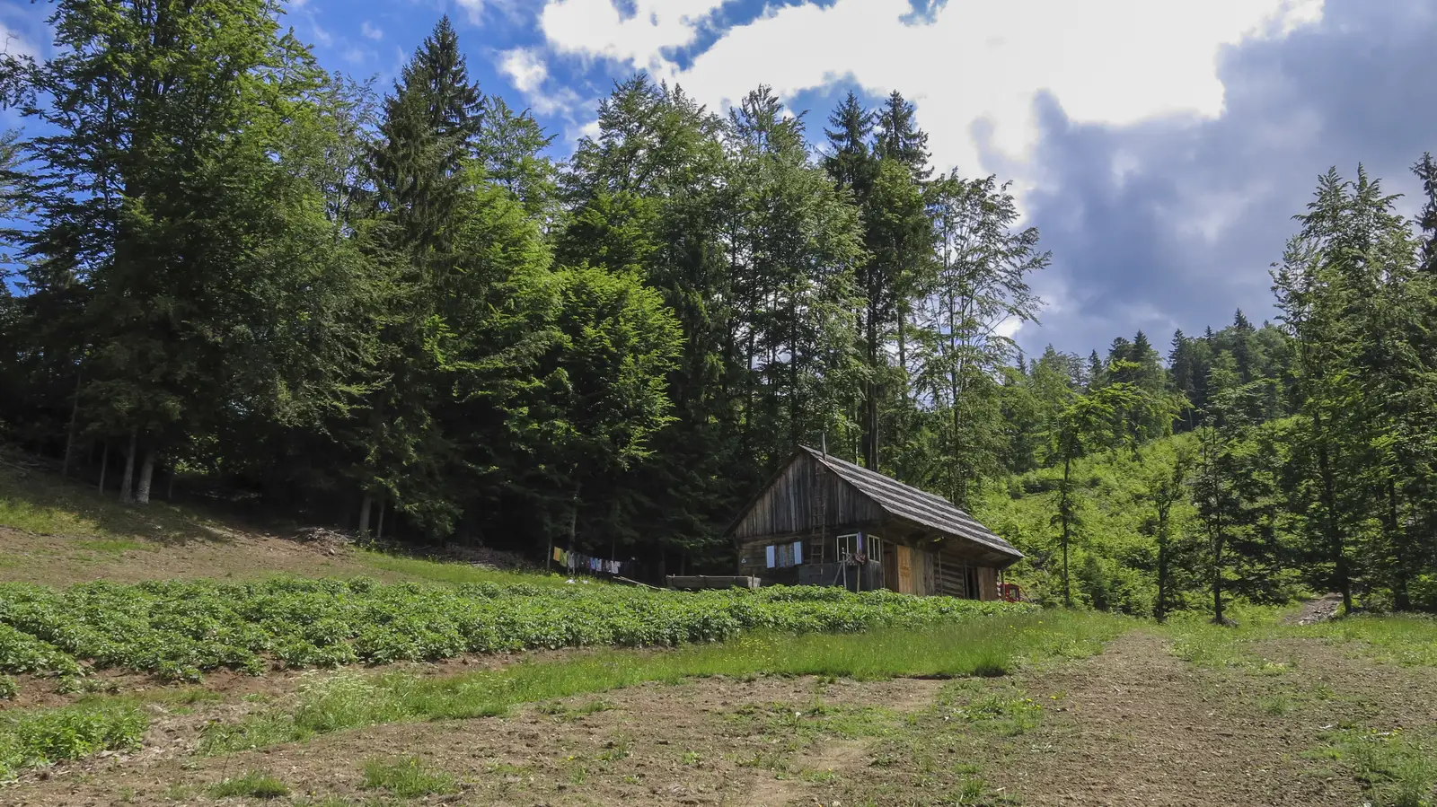 Dealul Ştefăniţei - Valea Fundoaia - La Vălaie