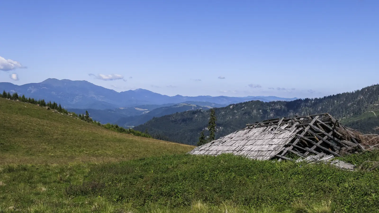 Gura Rebra - Şaua Tomnatic - Zăvoaiele Borcutului