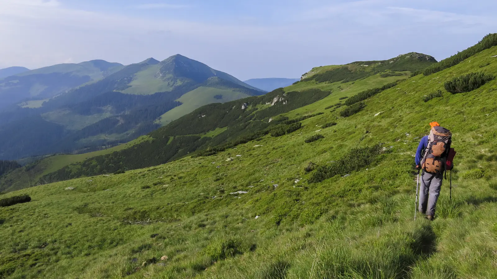 Cabana Farmecul Pădurii - Vf. Rabla - La Cărţi
