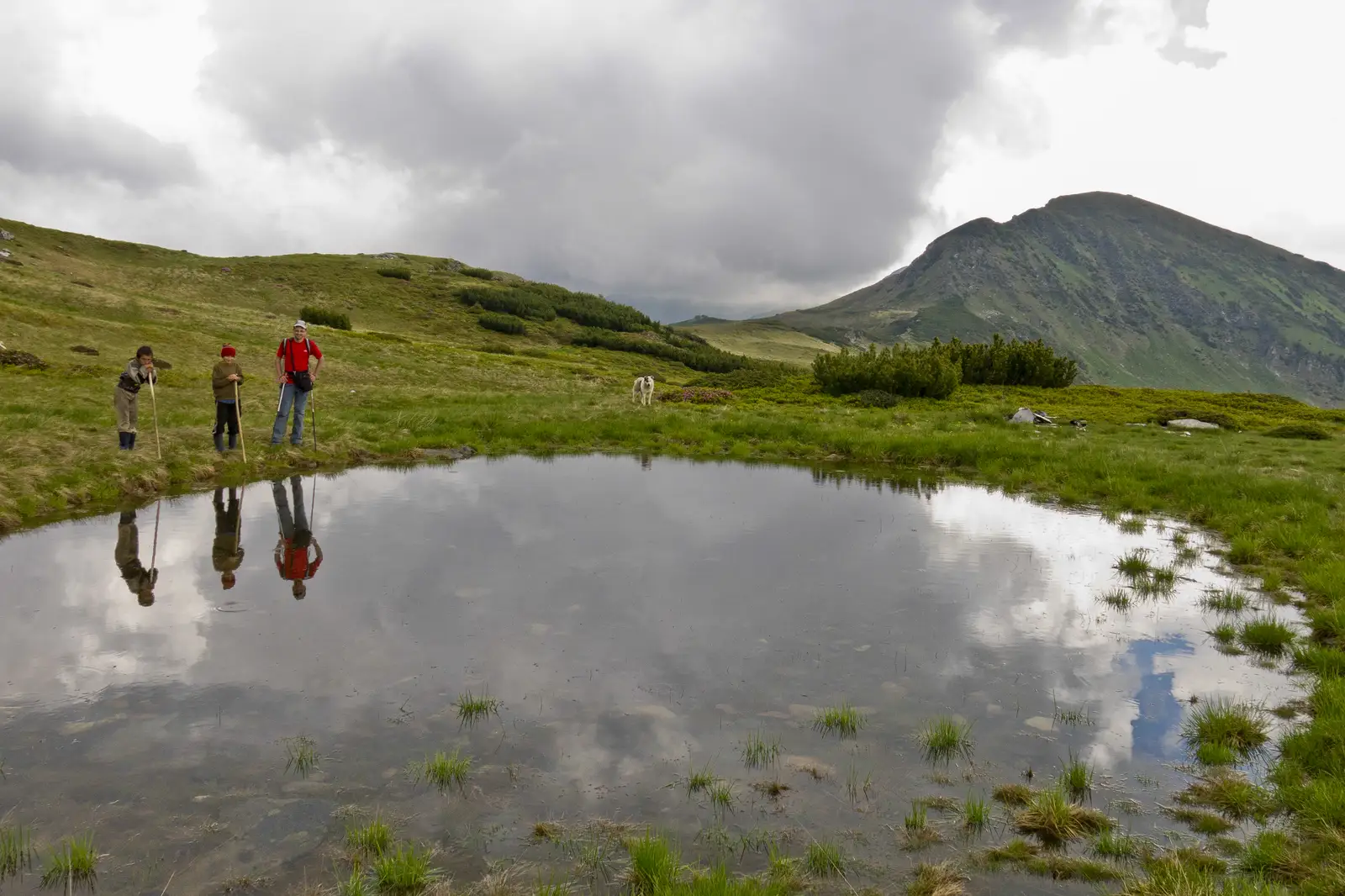 Între Anieşe - Şaua Între Izvoare (La Cărţi) - Valea Anieşului Mic