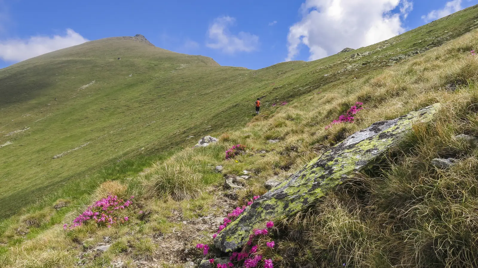 Rodna - Şaua Curăţel - Şaua Cu Lac