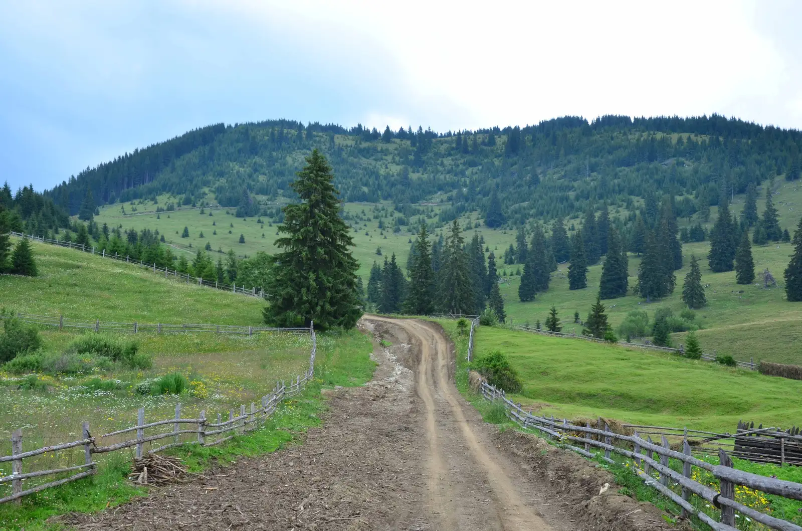 Panaci - culmea Munţilor Bistriţei - Panaci