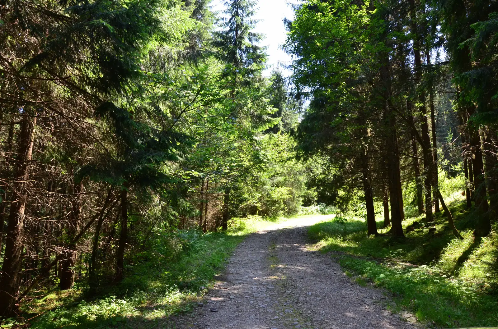 Gura Haitii - circuitul Lacului de decantare Dumitrelul - Gura Haitii