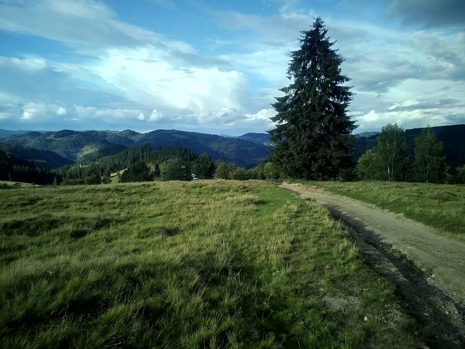 Colacu - culmea Obcinei Mestecănişului - Ciocăneşti