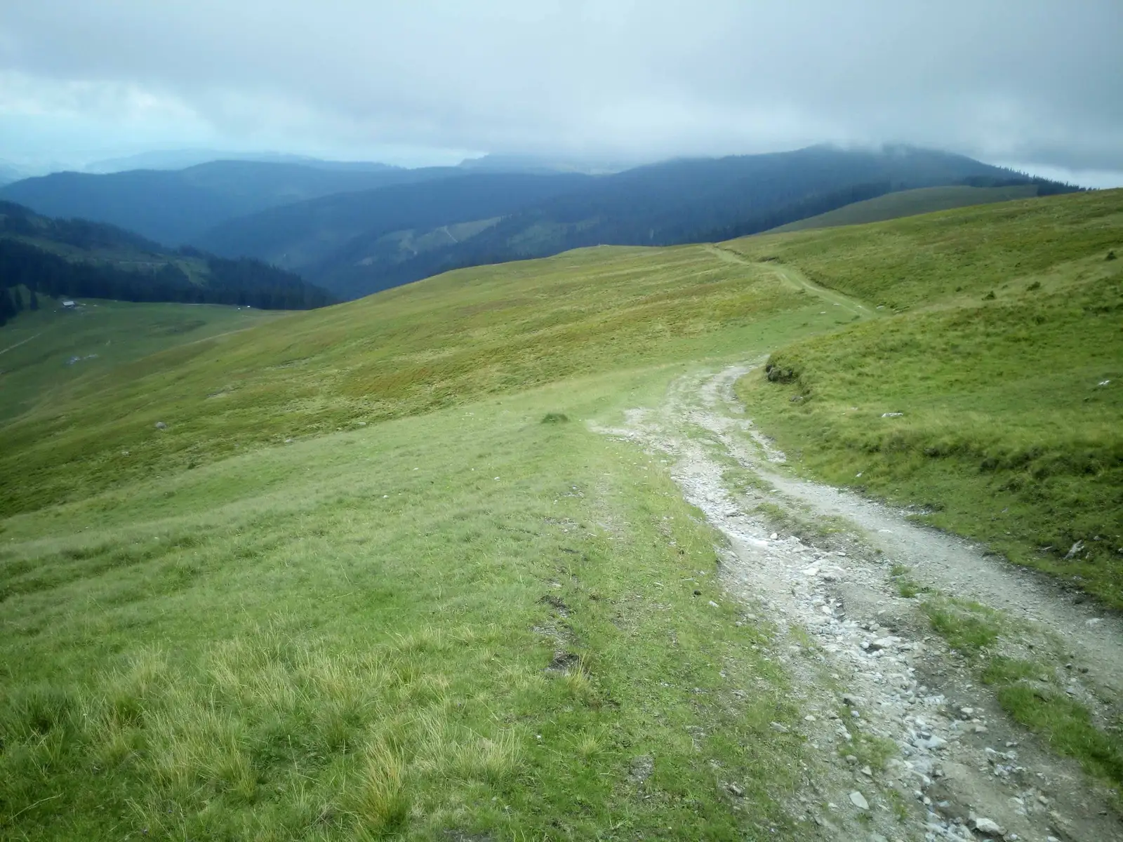 Ciocăneşti - culmea sudică a Munţilor Suhardului - Vatra Dornei