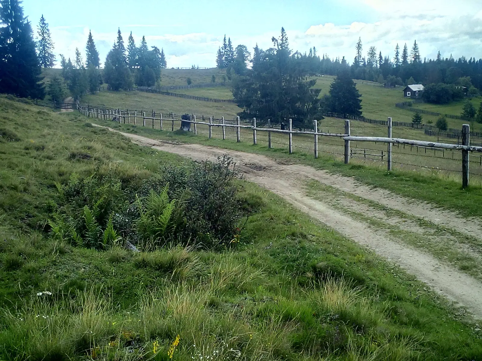 Fundu Moldovei - Botuş - Fundu Moldovei