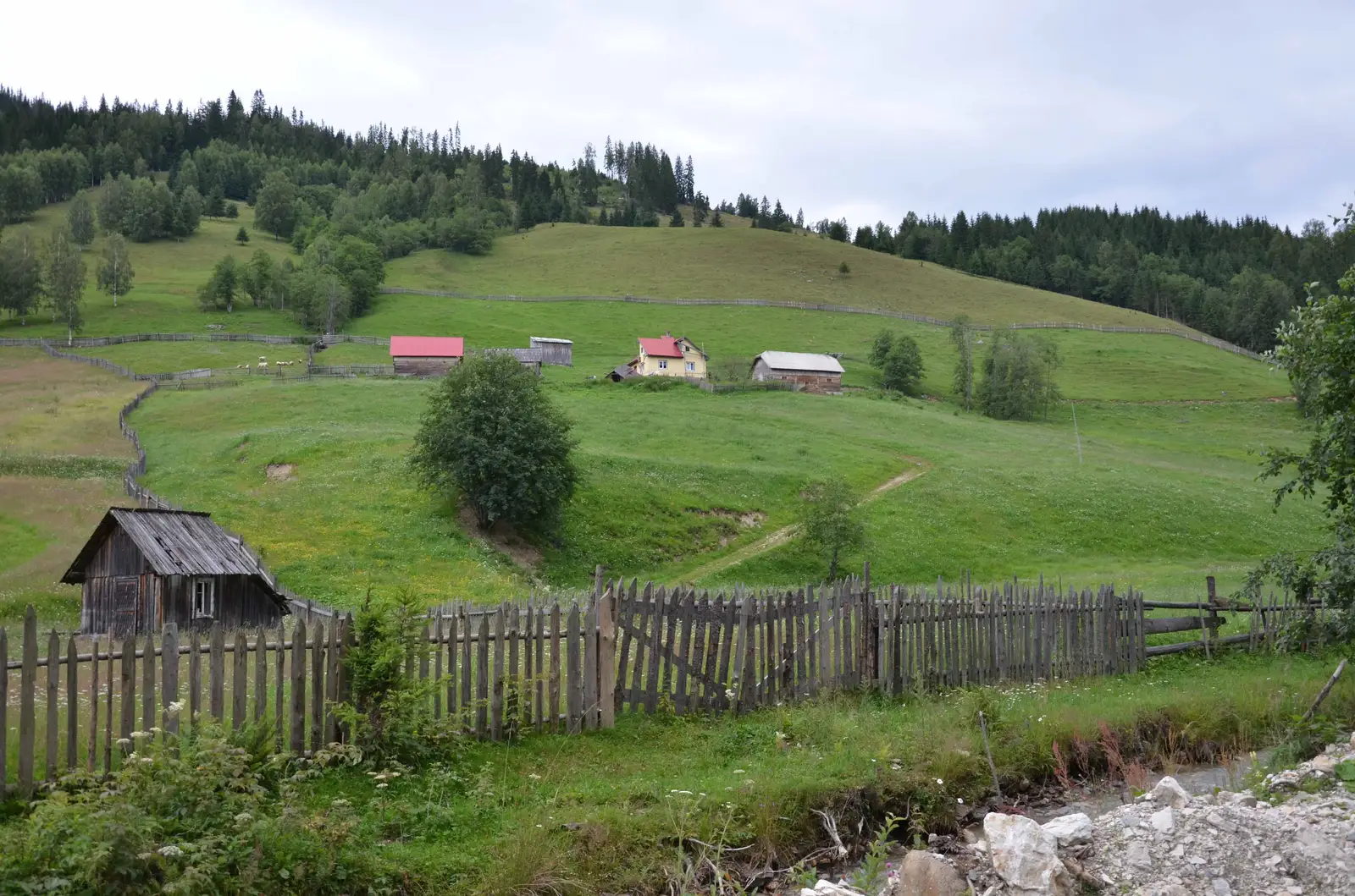Cârlibaba - Moldova-Suliţa - DN17