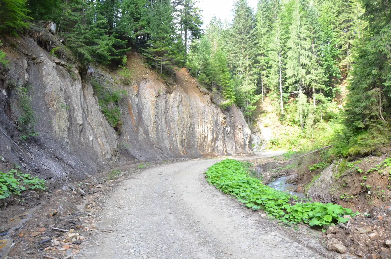 Vatra Moldoviţei - sub Vârful Upălnici - Putna