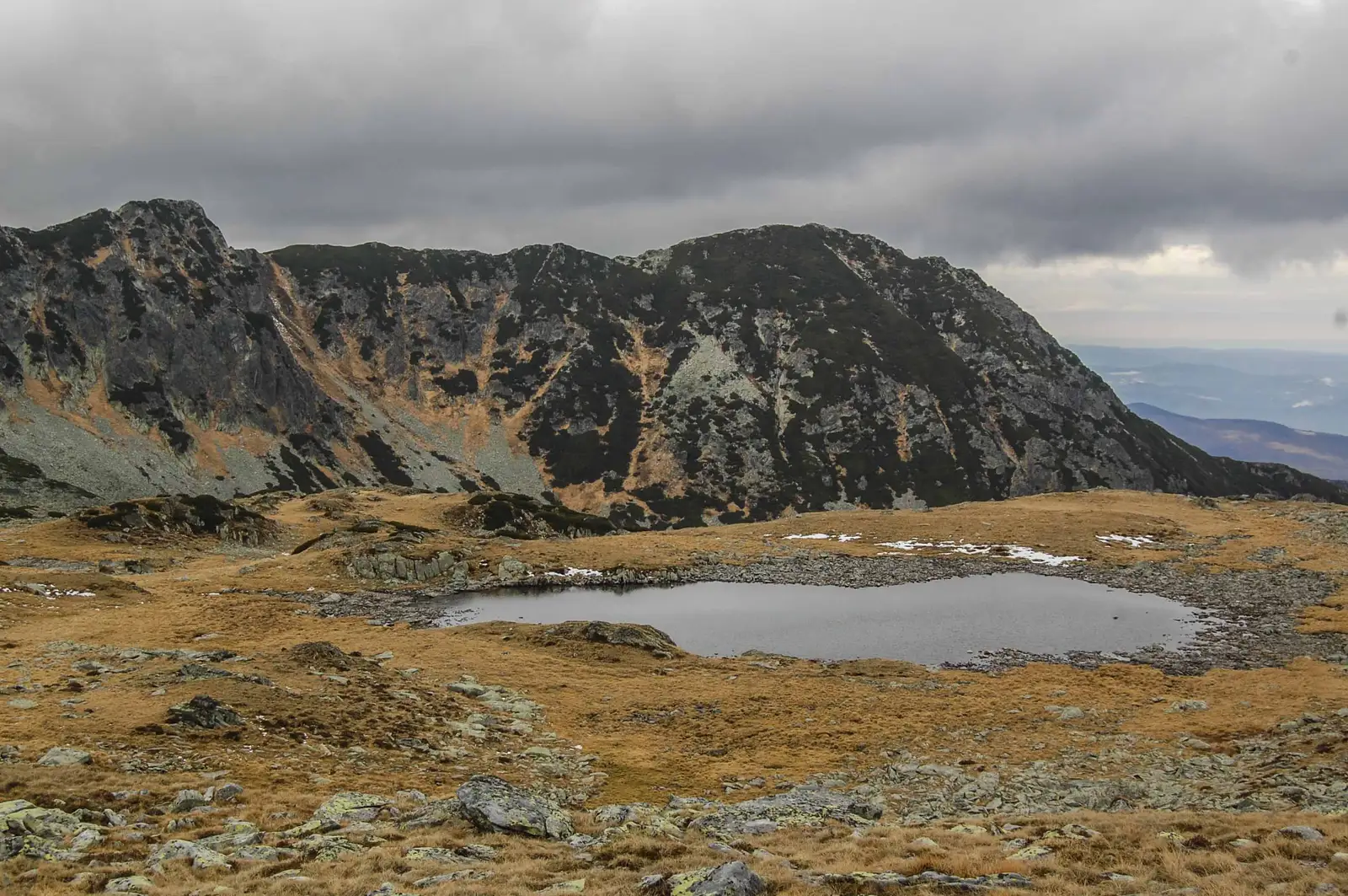 Cabana Pietrele - Valea Rea - Şaua Pelegii