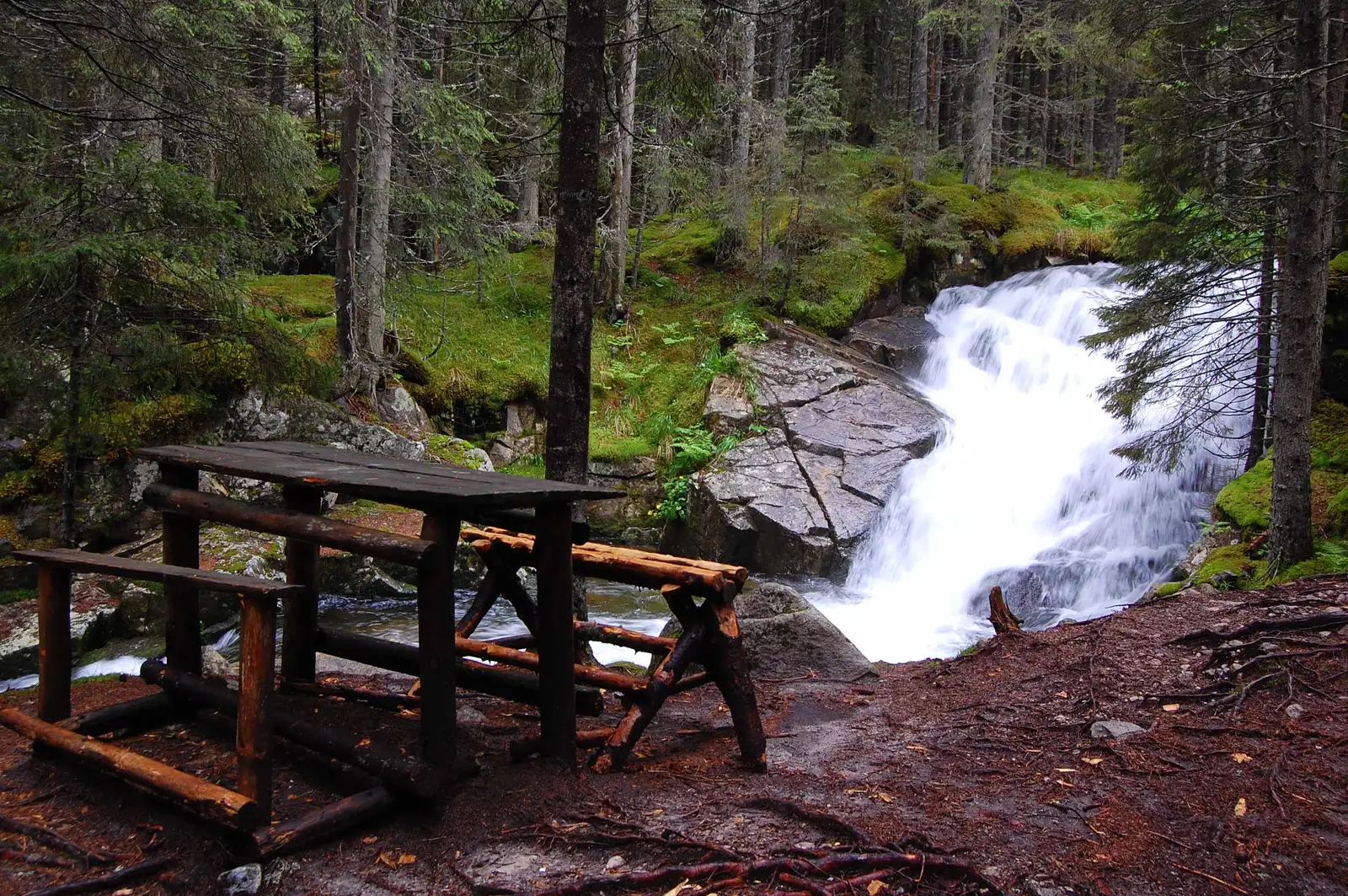 Drumul de la Cârnic spre Pietrele (DJ667A) - Cabana Genţiana