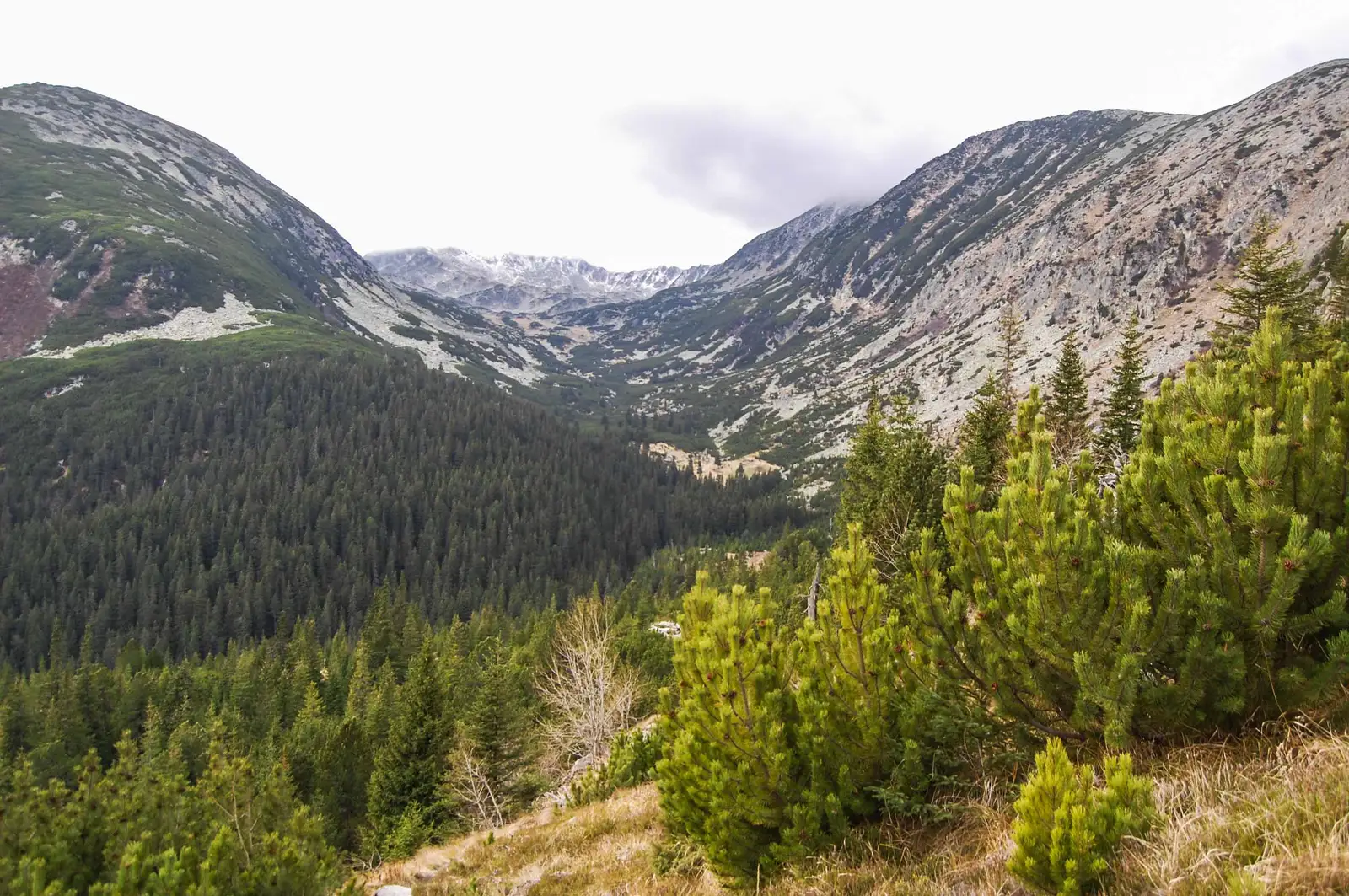 Cabana Pietrele - Şaua Ciurila - Râuşor