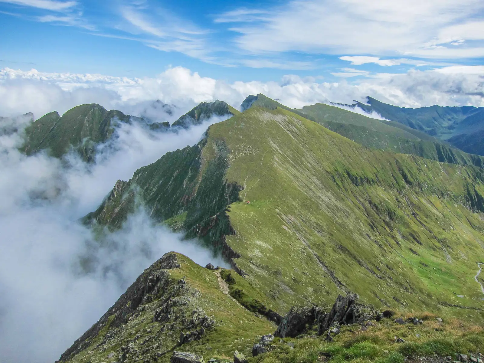 Valea Oltului - Vf. Şerbota - Saua Podragului - Fereastra Mare a Sâmbetei - Curmătura Lerescului - Vf. Tămaşul Mare