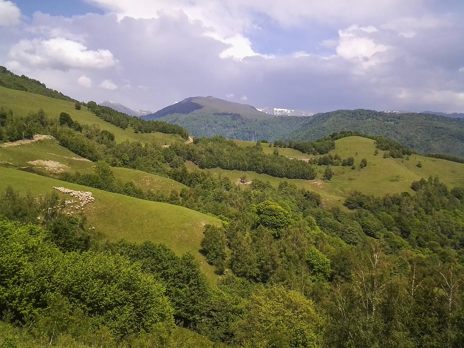 Câinenii Mici - Muntele Coţii - creasta principală