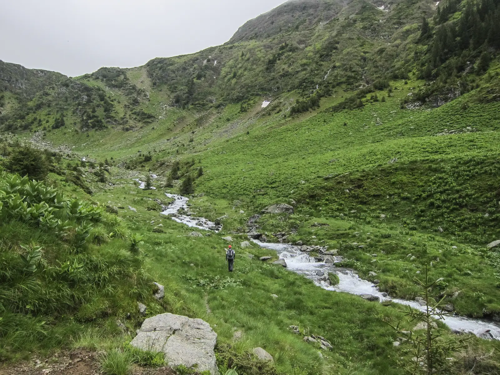 Cabana Bârcaciu - Valea Avrigului - Lacul Avrig