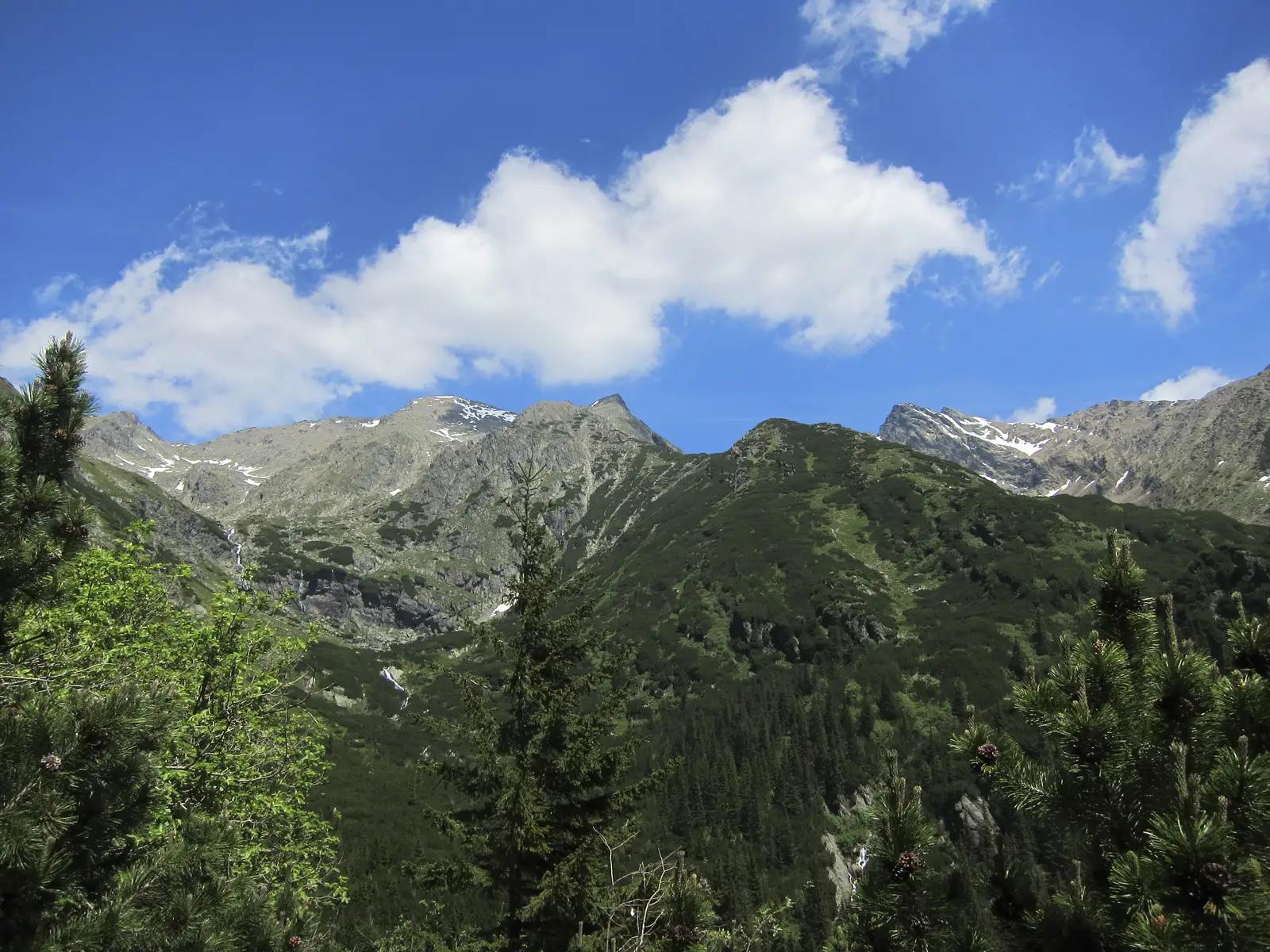 Şaua Cleopatra - Izvorul Negoiului - confluenţa Pârâului Izvorul Scării cu Pârâul Izvorul Negoiului