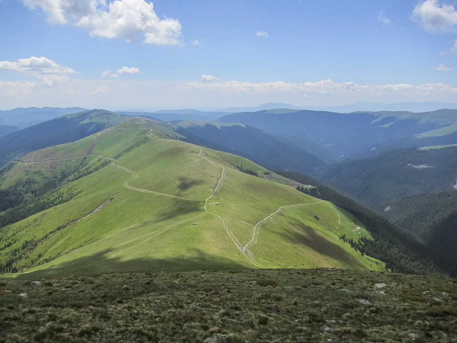 Arefu - Culmea Podeanu - creasta principală
