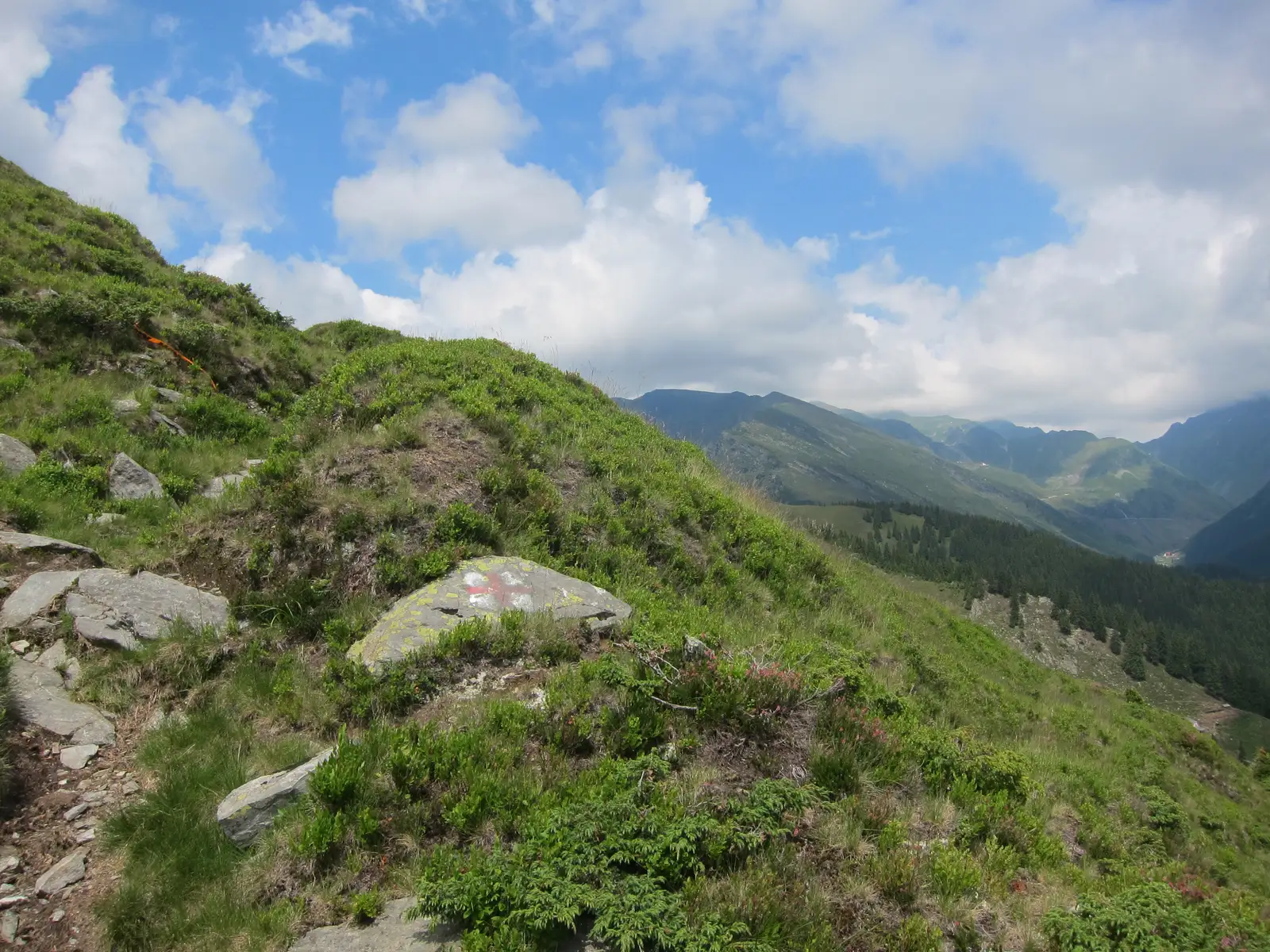 Complexul Turistic Piscul Negru - Stâna Lespezi - Şaua Podeanu