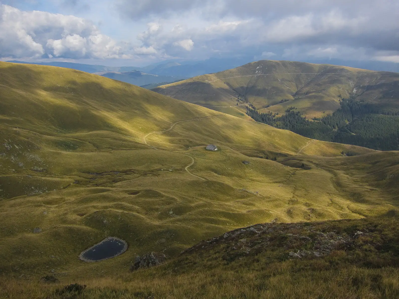 Curmătura Maliţei - Vf. Scărişoara - Vf. Moldoveanu 