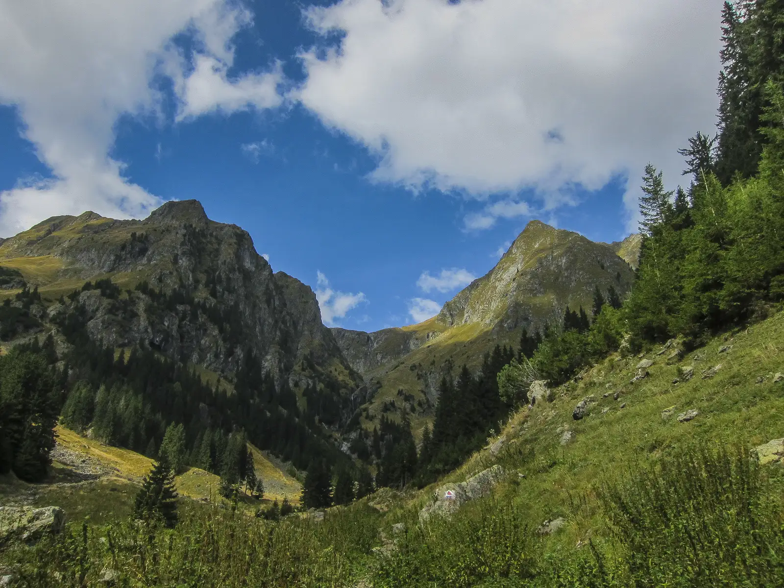 Nucşoara - Râul Doamnei - Portiţa Viştei