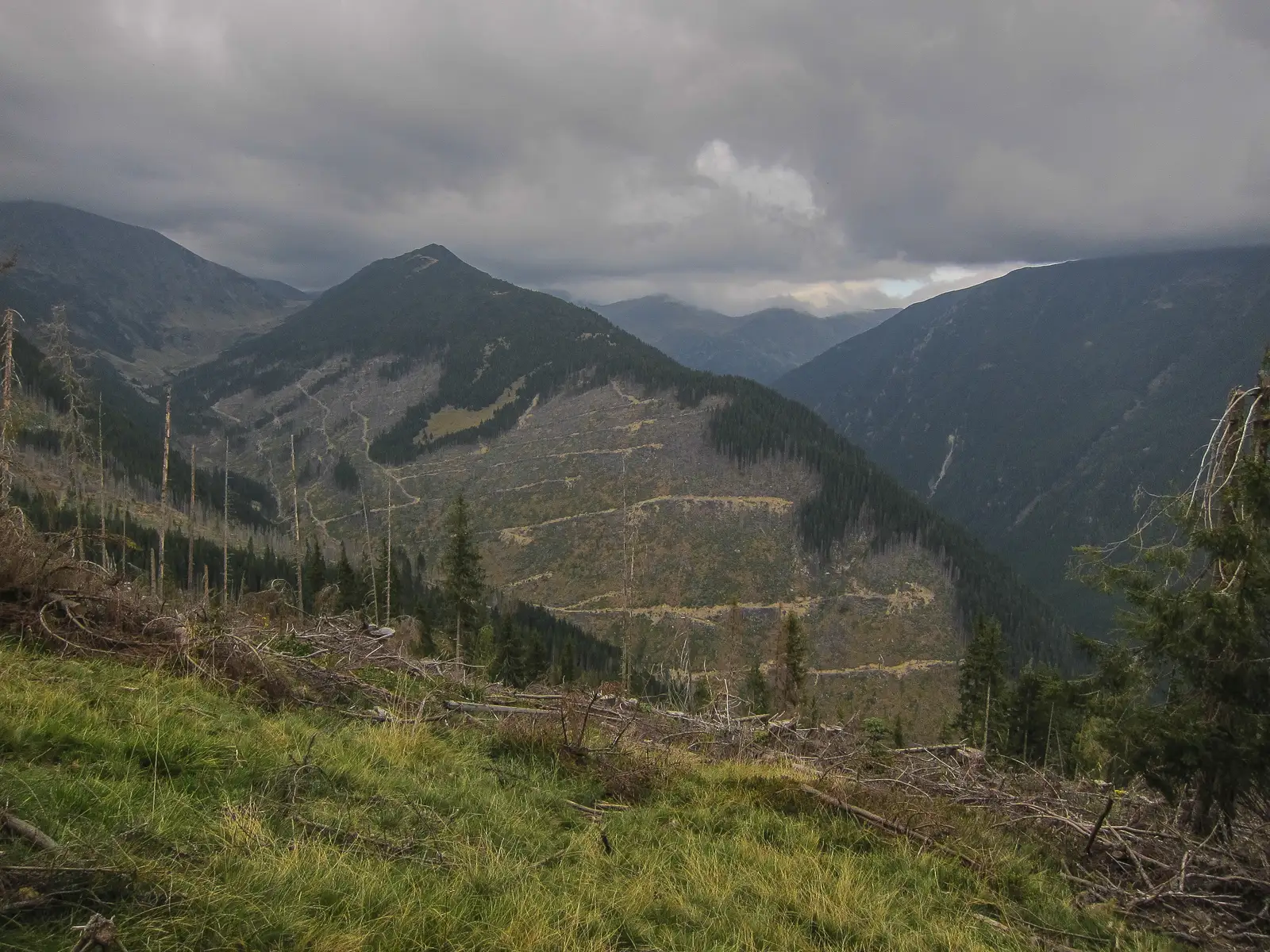 Valea Rea - Curmătura Maliţei