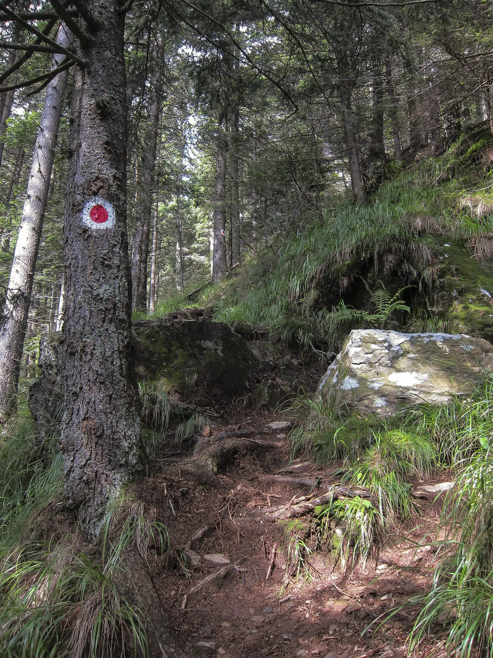 Valea Sâmbetei - Muchia Drăguşului