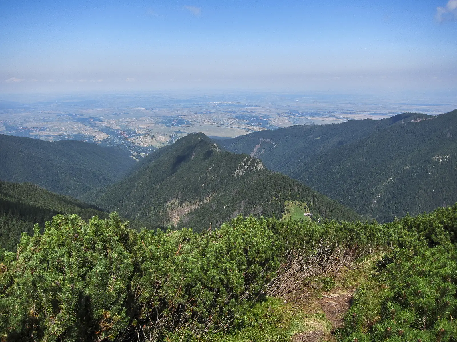 Breaza - sub Vf. Moşuleţei - Curmătura Zârnei 