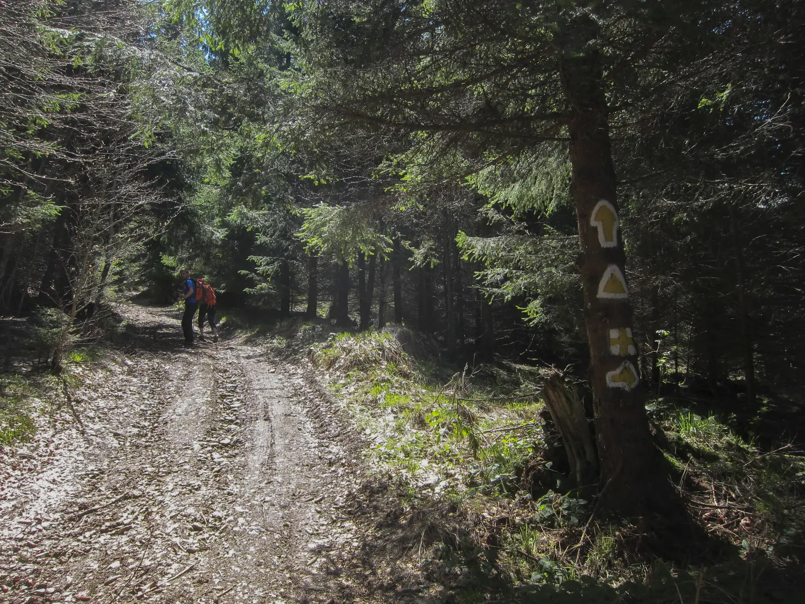 Valea Sebeşului - Şaua Nămăii - Cantonul Rudăriţa