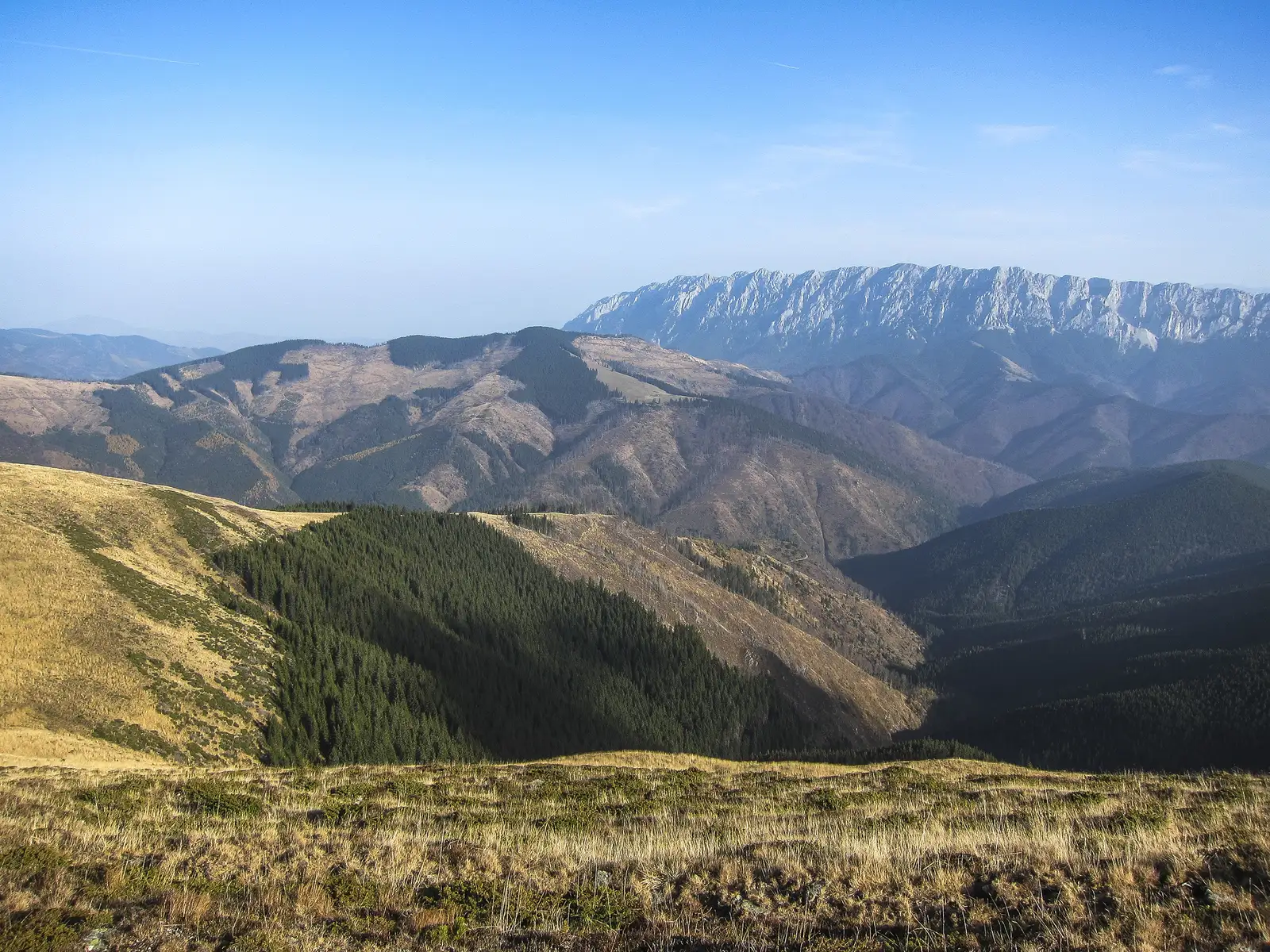 Cabana Voina - Vf. Păpuşa - Valea Dâmboviţei