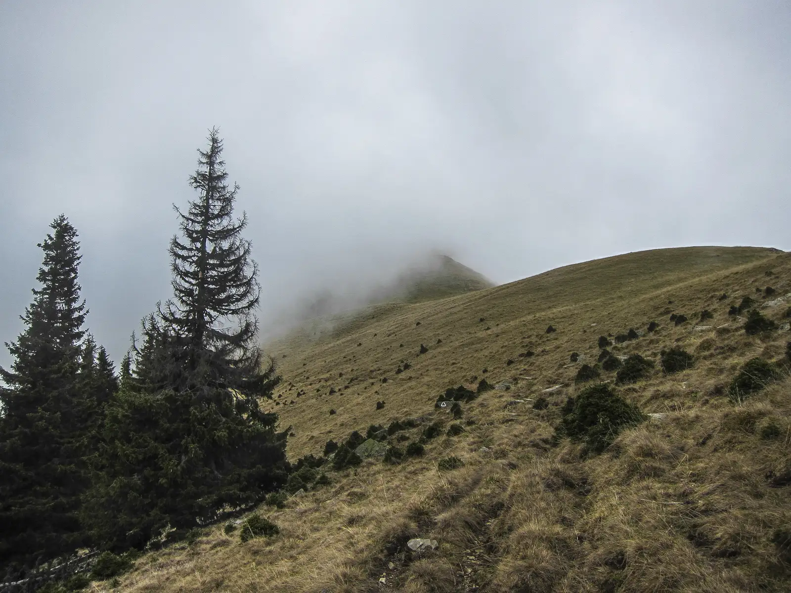 Cabana Voina - Culmea Măra Mică - Valea Dâmboviţei