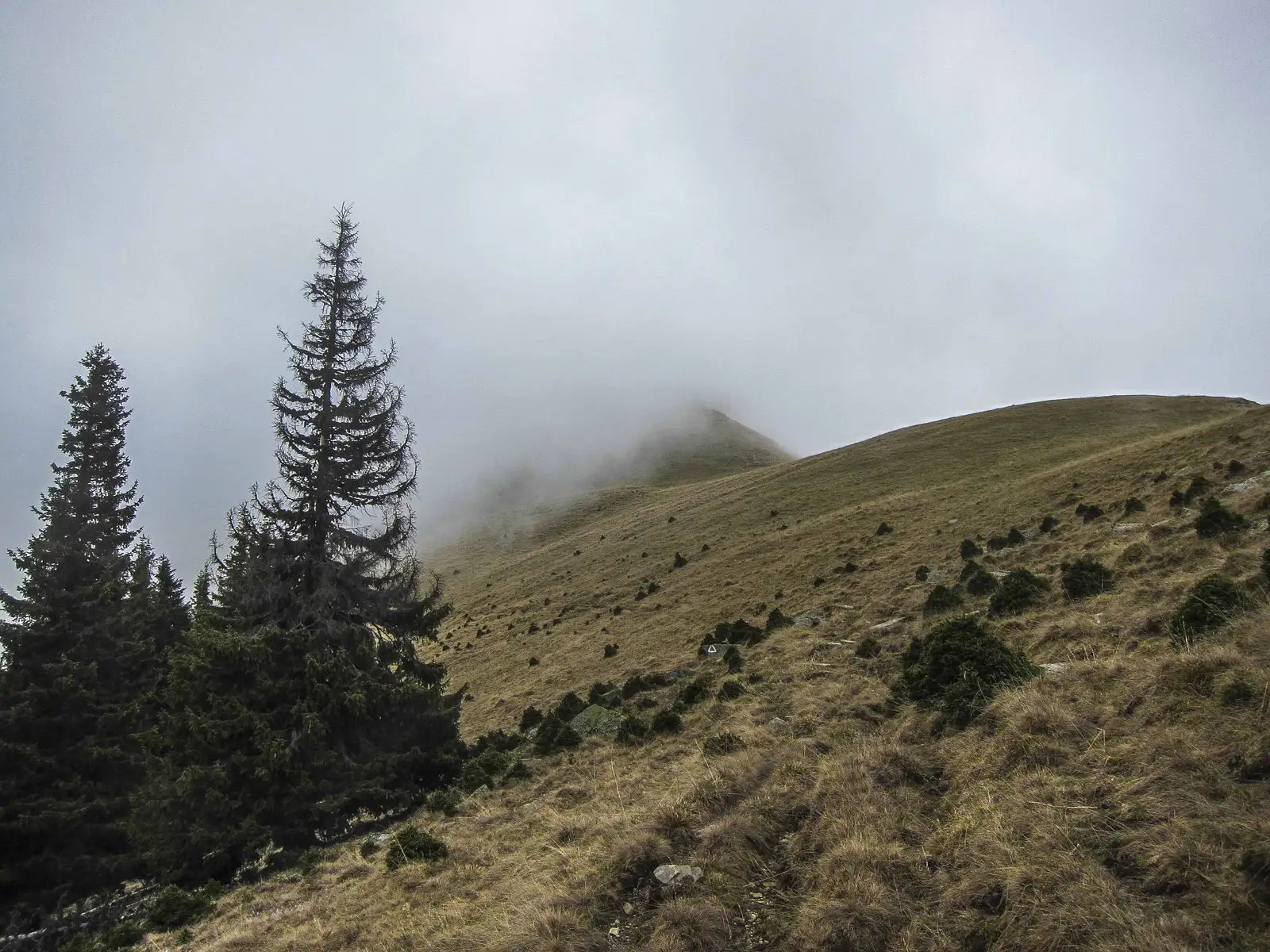 Cabana Voina - Culmea Măra Mică - Valea Dâmboviţei