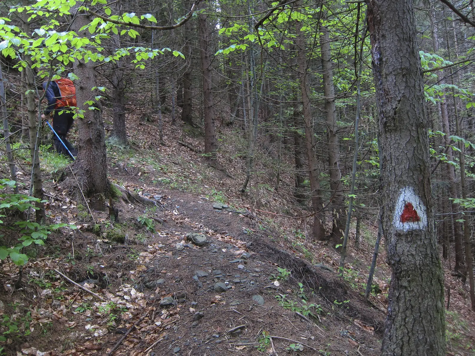 Cândeşti - Şaua Portăreasa - Crucea Ateneului