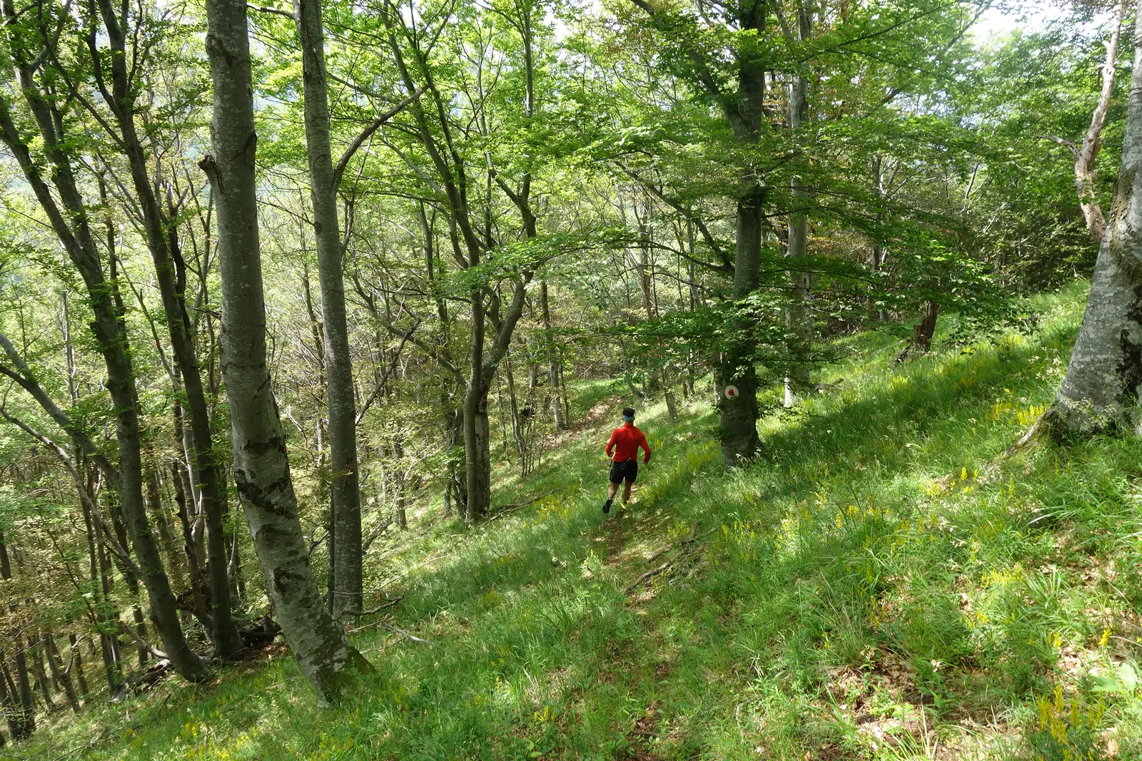 Vf. Văreţului (traseul TA) - Mănăstirea Turnu Roşu