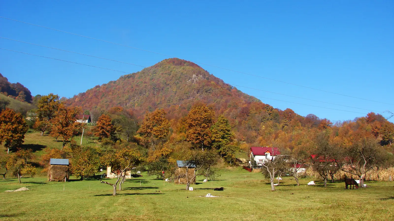 sat Bistra - Belvedere Tocarnea - sat Bistra