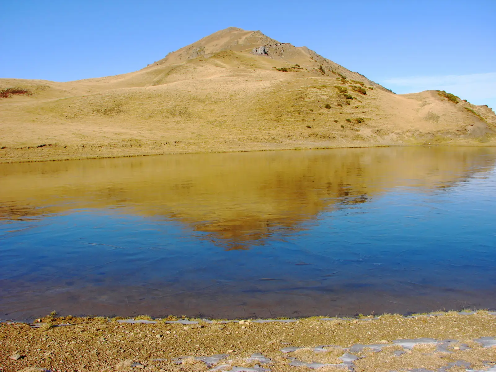 Petroșani - Dl. Moșic - staţiunea Parâng - Vf. Cârja - Vf. Parângul Mare - Șaua Piatra Tăiată - Vf. Iezer - Pasul Urdele - Șaua 