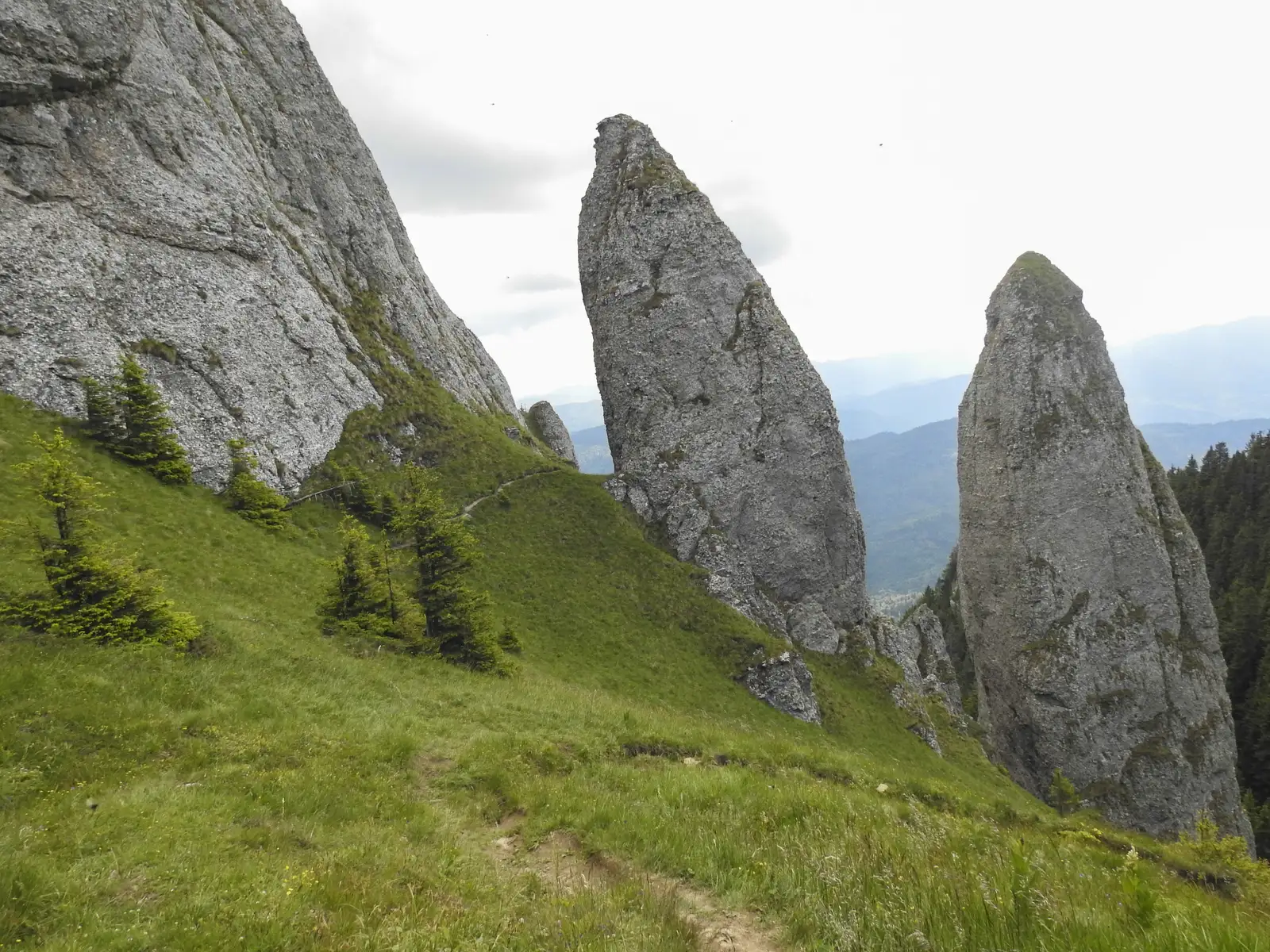Cabana Izv. Muntelui - Platoul Ocolașului Mic - Cabana Dochia