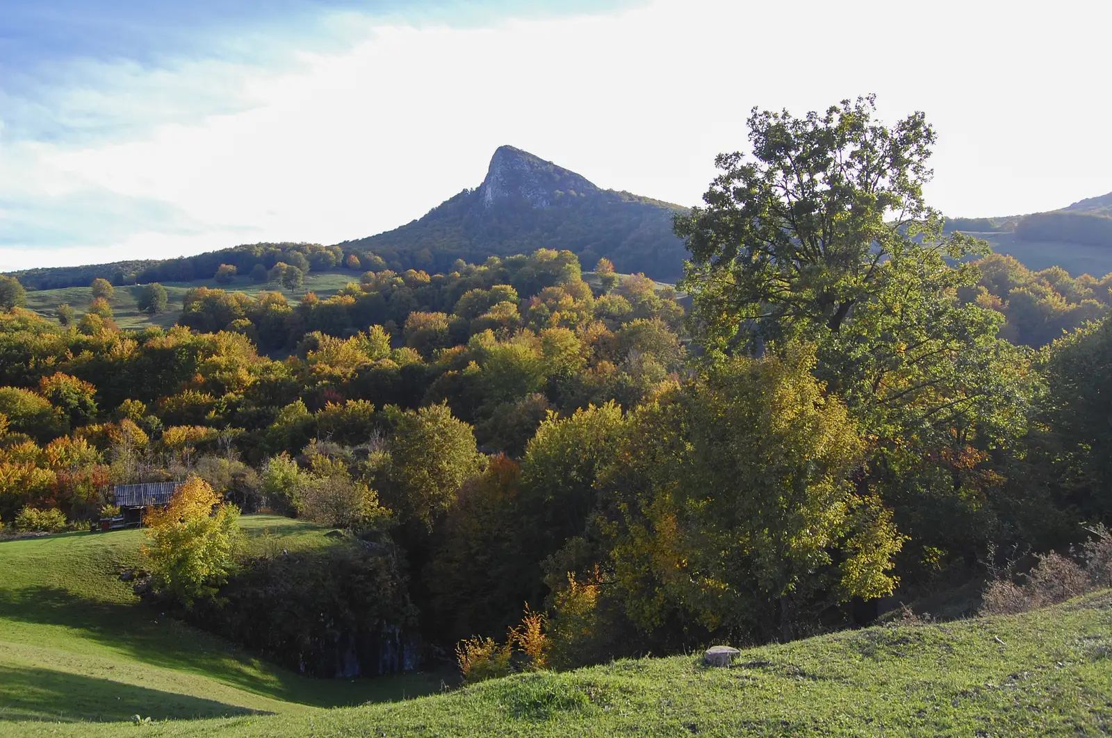 Cricău - Pârâul Cricău - lângă Piatra Craivii