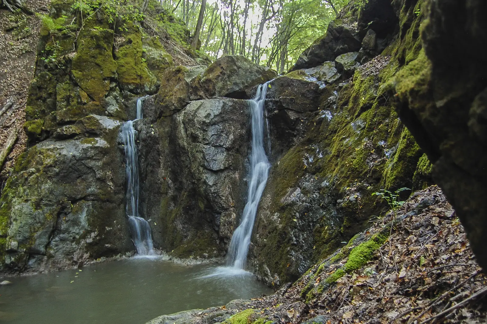 Circuit Cheile Borzești